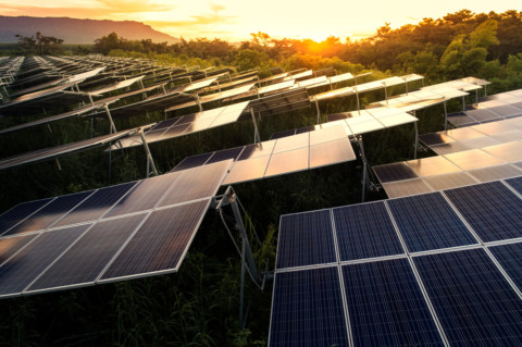 Largest solar farm approved for Tasmania