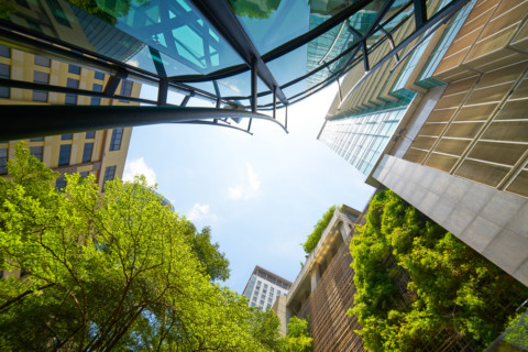 Report launched for Australian green infrastructure opportunities