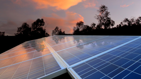 Westpac signs PPA with Bomen Solar Farm