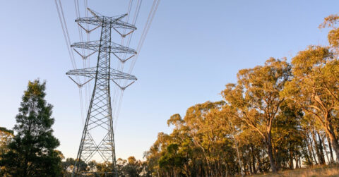 Transgrid’s EnergyConnect project takes next step