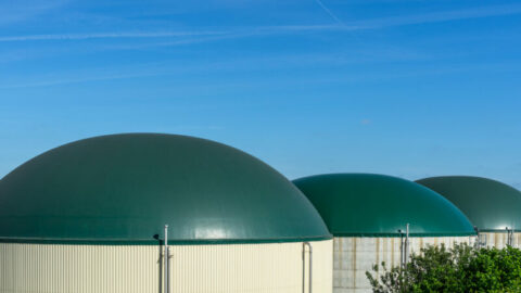 Australia’s first biomethane-to-gas network project underway