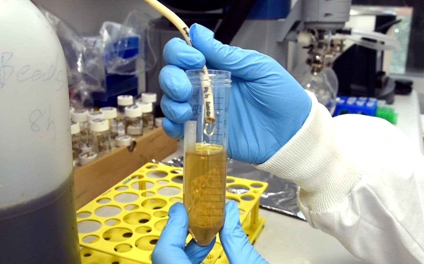 An image taken of the process of removing PFAS chemicals from water.