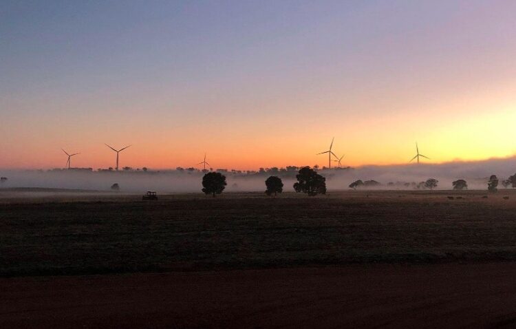 An image of Bondangara Wind Farm.