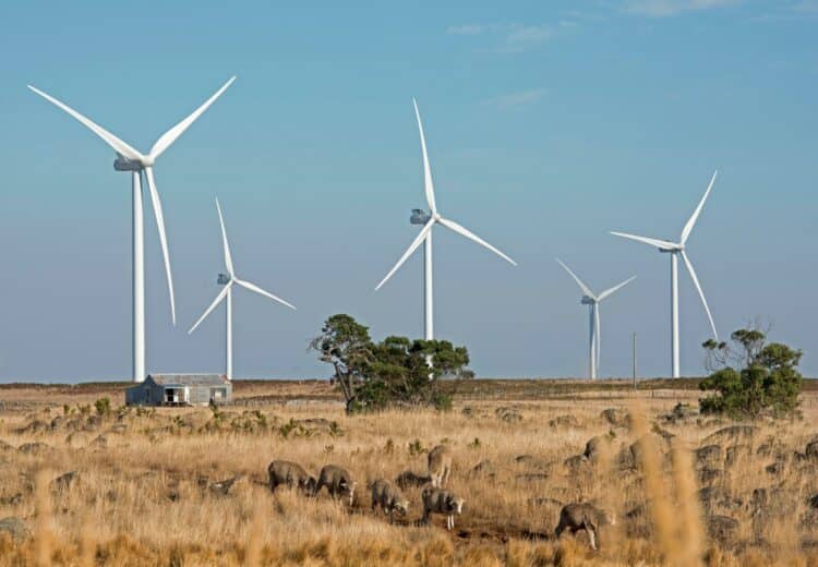 Iberdrola wind farm