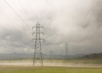 Image: Matt Palmer/stock.adobe.com