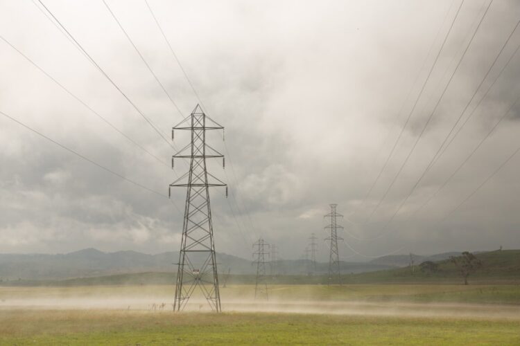 Image: Matt Palmer/stock.adobe.com