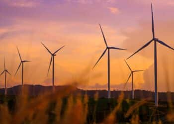 wind drought