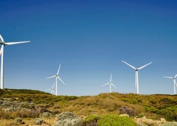 Image: electra kay-smith/stock.adobe.com